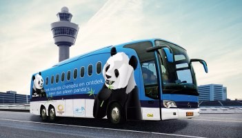 KLM Bus Service dowiezie za darmo do Amsterdamu