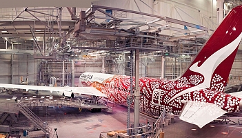 Piękny pochrzyn skrzydlaty na boeingu 787 linii Qantas