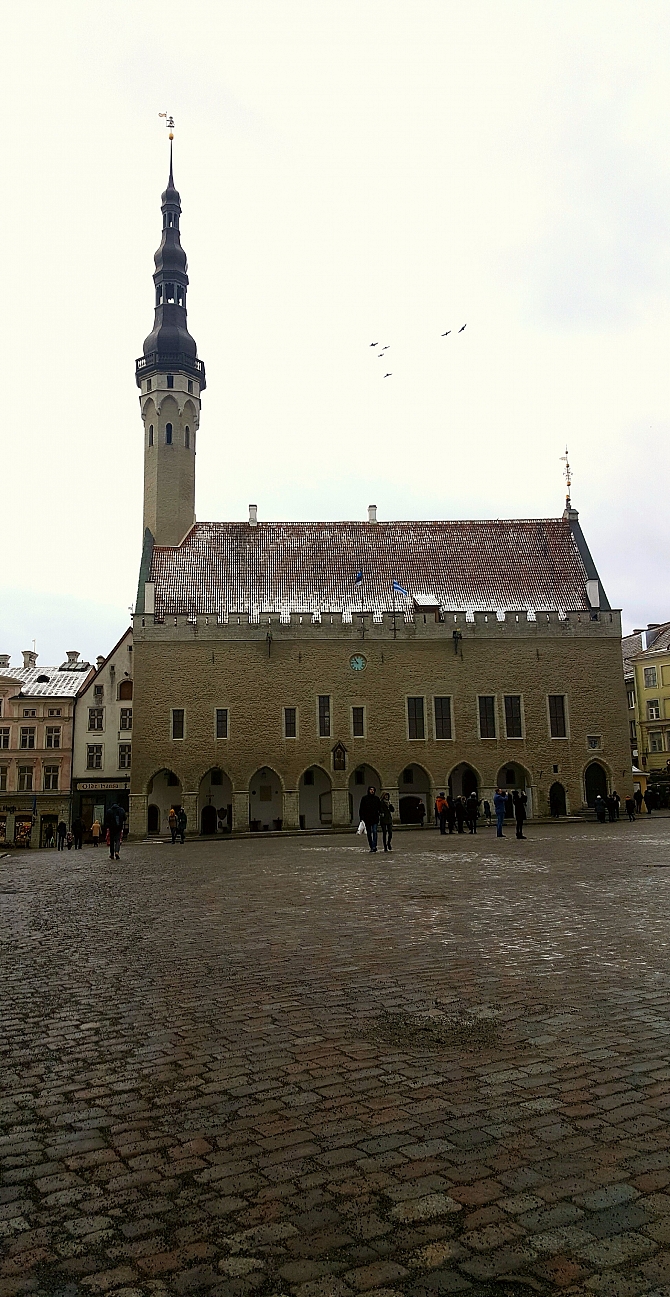 Ratusz w Tallinnie