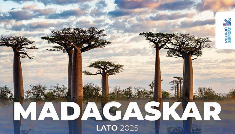 Madagaskar. W poszukiwaniu pingwinów