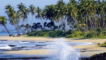 Egzotyczne podróże na Zanzibar i Sri Lankrę